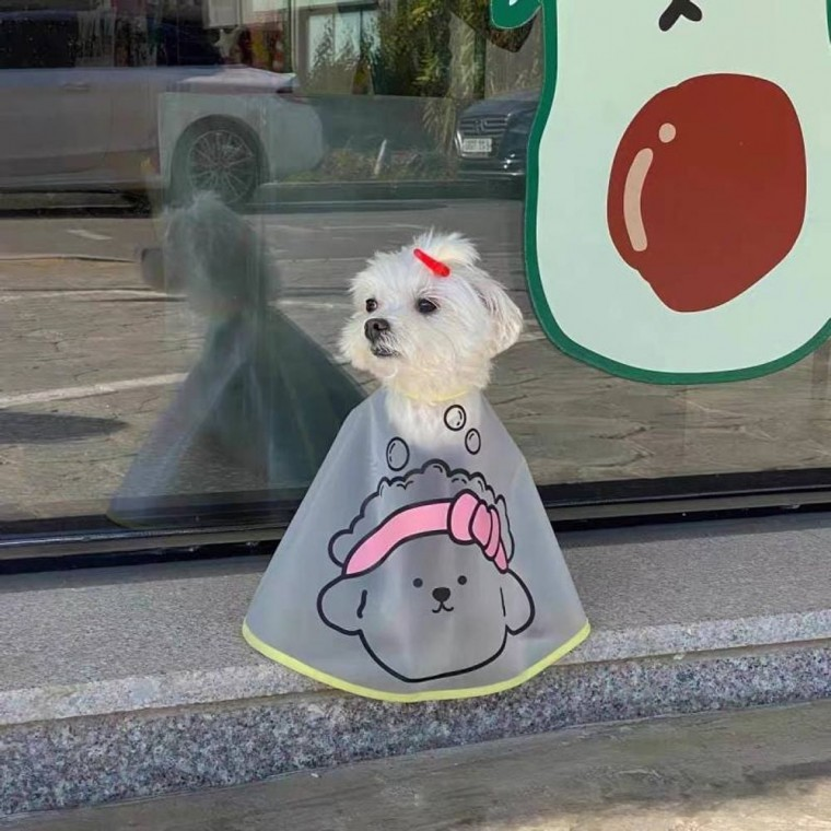 반려 동물 고양이 케이프 턱받이 강아지 세안보 미용 용품 애견 용품샵 푸들 가운