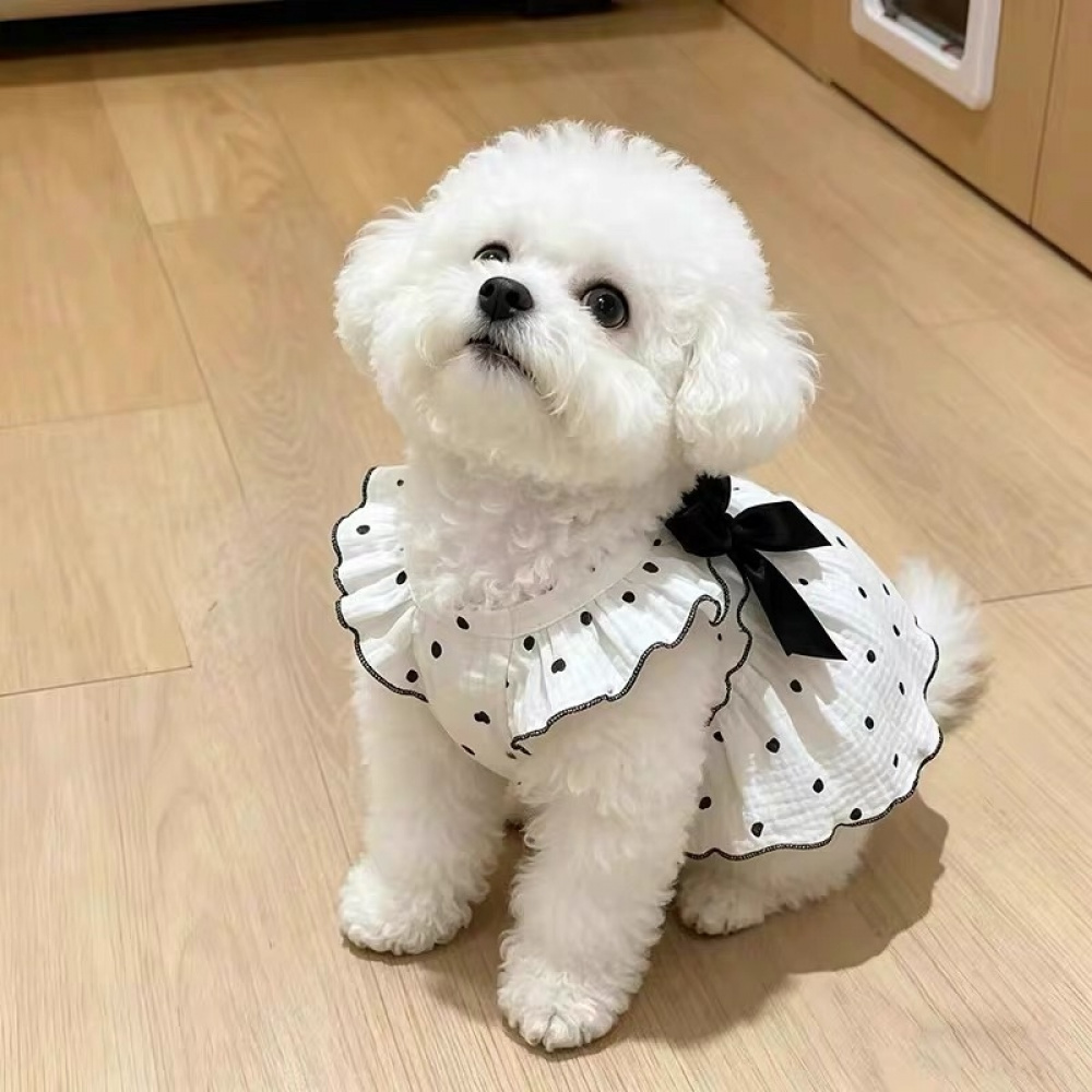 여름 공주 스타일 반려묘 반려견 도트 리본 원피스 소형 고양이 강아지 산책 의류