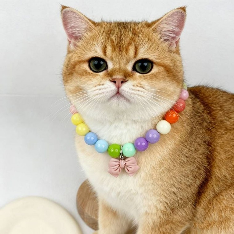 반려동물 도파민 리본 목걸이 강아지 고양이 팬던트 외출용품
