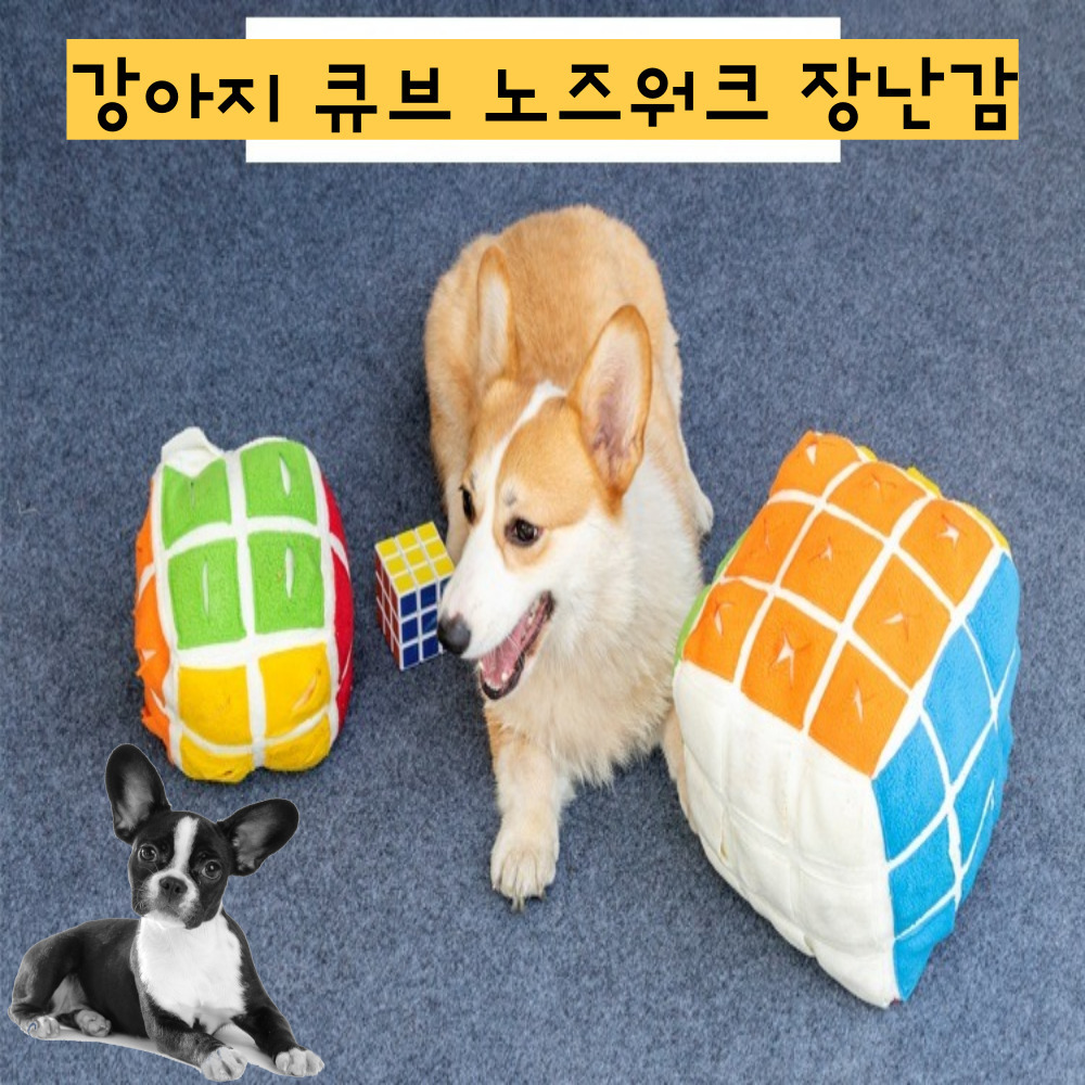 강아지장난감 애견 노즈워크 후각놀이 코담요 고양이 공놀이 인형 터그놀이 분리불안 스트레스해소