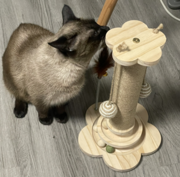 고양이 스트레스해소 스크래쳐 캣타워