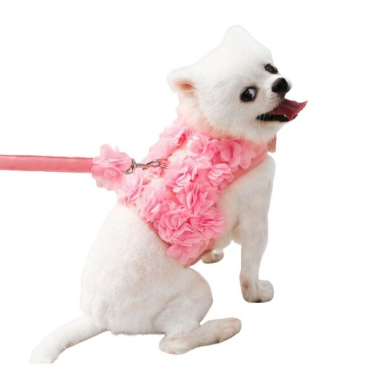 강아지옷 고양이 플라워 산책 산책용 애견용품 가슴줄 반려견 반려묘 강아