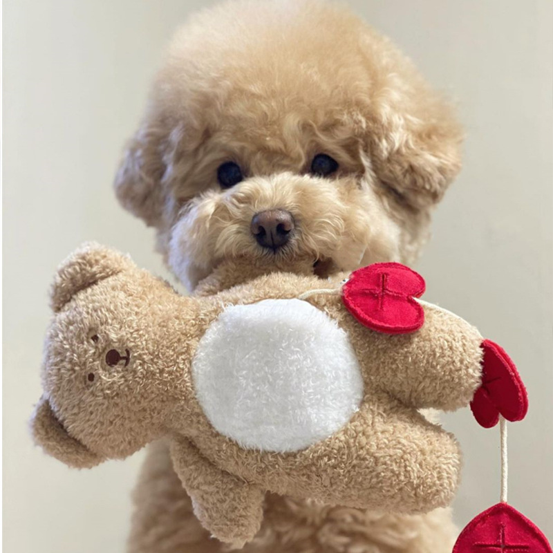 포켓 하트 곰돌이 장식품 강아지 장난감 애견 종이 인형