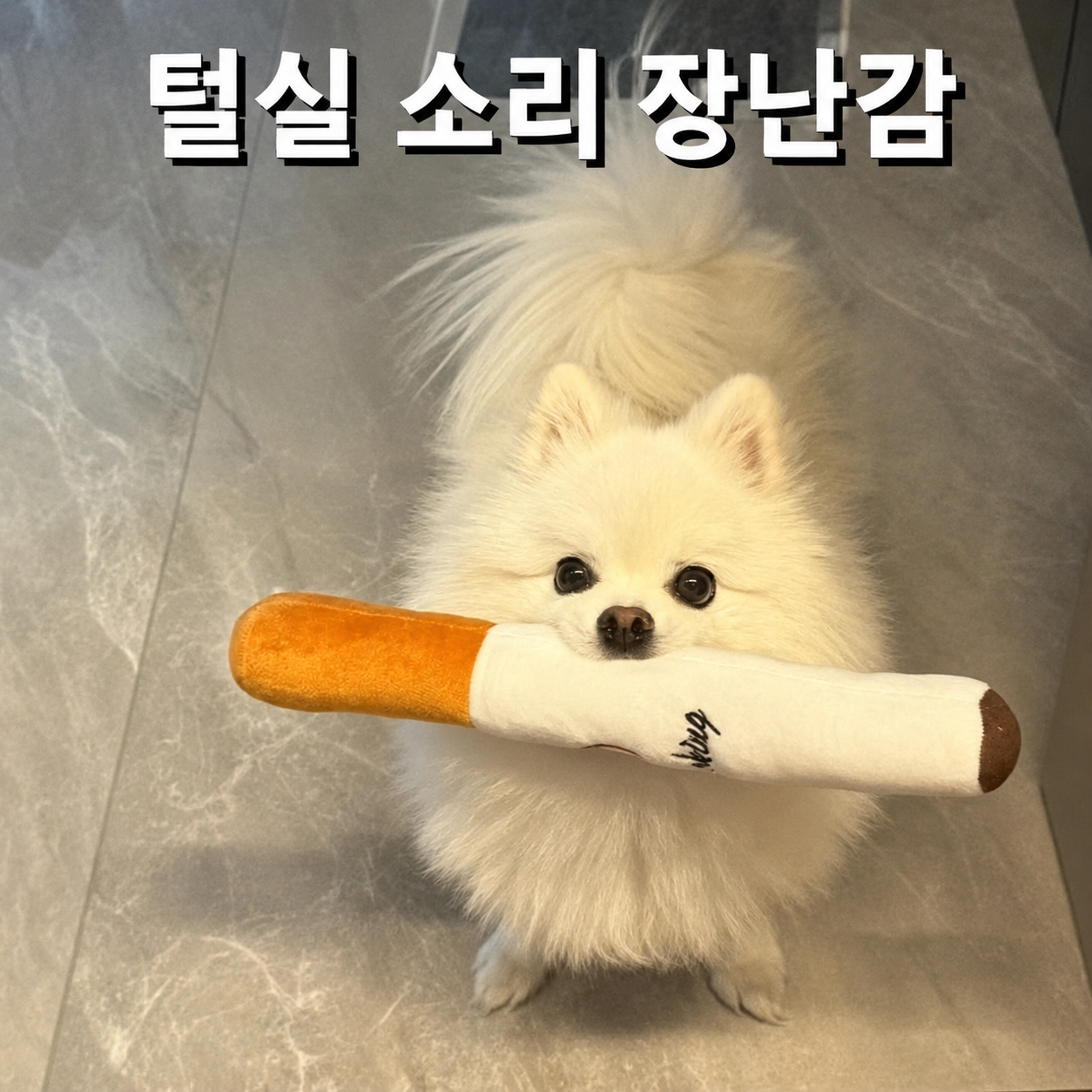 강아지 담배 소리내기 장난감 강아지 이갈이