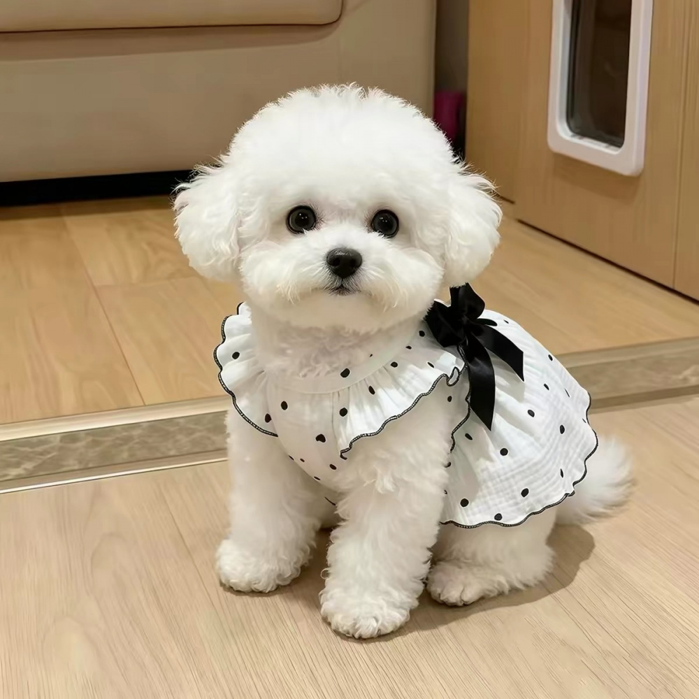 여름 공주 스타일 반려묘 반려견 도트 리본 원피스 소형 고양이 강아지 산책 의류